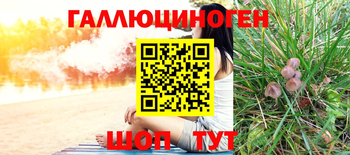 Псилоцибиновые грибы прущие грибы Великие Луки